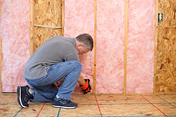 Best Crawl Space Insulation  in Waawa, HI