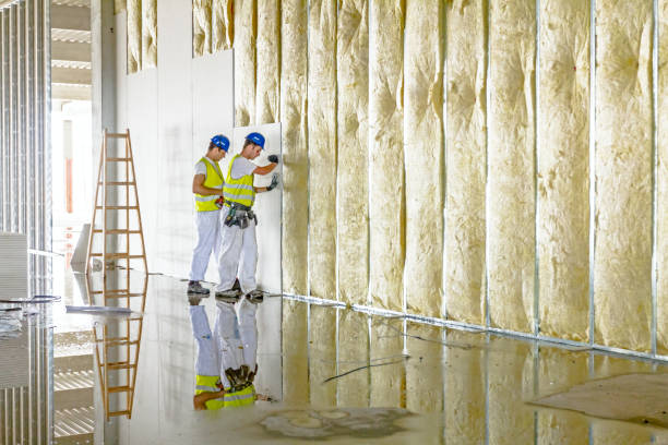 Insulation for New Construction in Wahiawa, HI